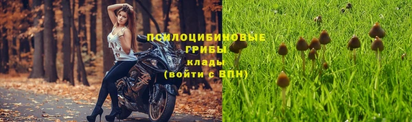 спиды Балахна