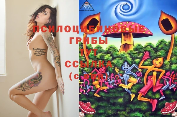 спиды Балабаново